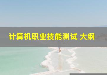 计算机职业技能测试 大纲